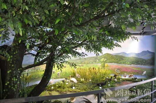 “湿地天堂”再添新地标 天堂湖湿地科普馆开馆