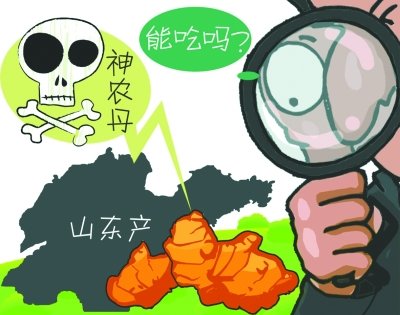 武汉市场多卖山东生姜 毒姜事件让市民很忧心