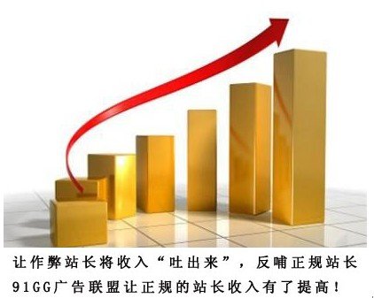 收入证明_站长广告收入(2)