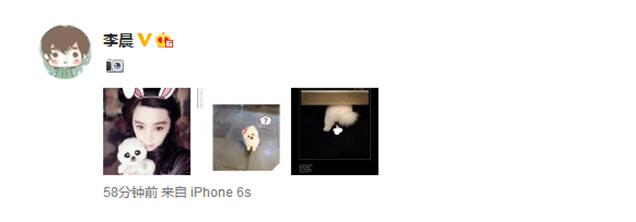  李晨晒女友 美照 秀恩爱  范爷抱着宠物狗卖萌_大