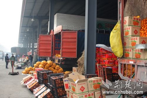 荆楚网记者随秭归卖柑队北上探市场 第三站石家庄