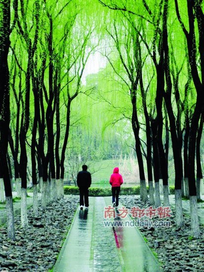 清新淡雅 国内春天最美的<em>雨</em>中风景_大楚网_腾