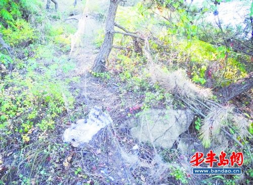 为什么我每到秋天的时候就<em>掉</em>-<em>大把</em>-<em>大把</em>的<em>头发</em>