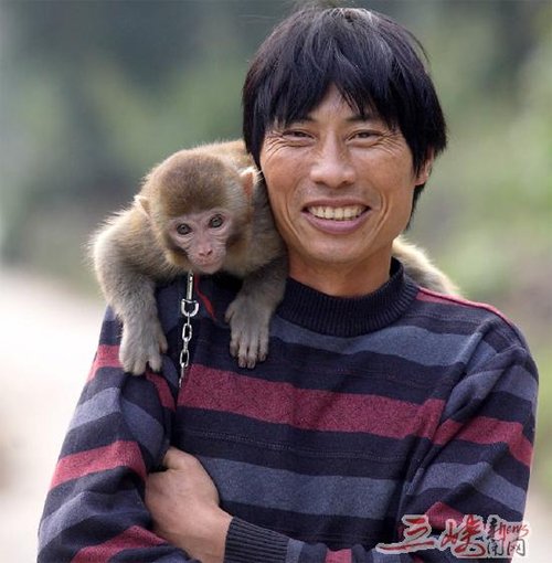 宜昌一市民想给残疾野生猕猴找个好人家(图)