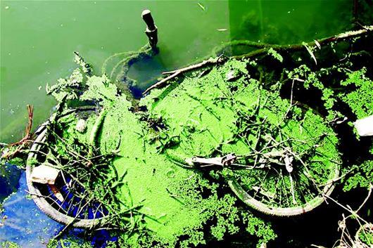 大学生拍共享单车沉湖照 呼吁对不良现象做出