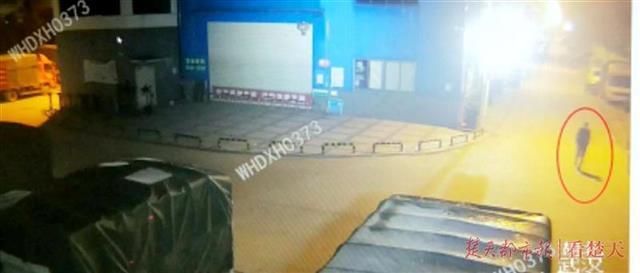 武汉男子深夜拉车门偷盗 民警布控数天将其抓获