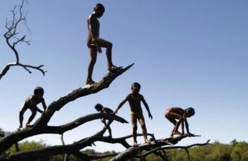 探秘亚马逊流域一女多夫的原始部落