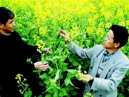 宜昌农业科技需求紧迫 技术员老龄化困扰待破