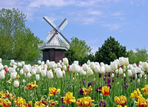 拼出八天假 武汉市民五一遍游浪漫欧洲