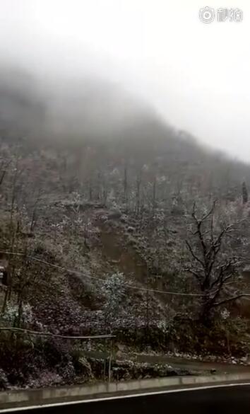 美国耕地面积_湖北十堰人均耕地面积(3)