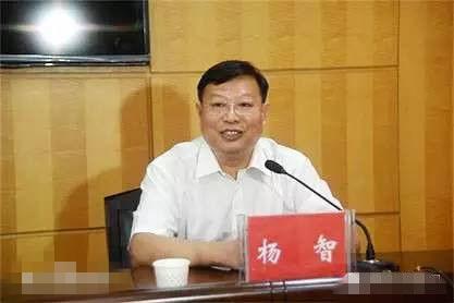 杨智当选为荆州市市长 曾任黄冈市委副书记