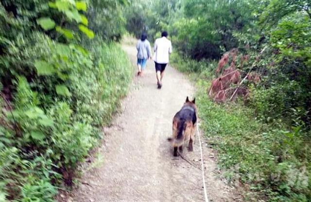 襄阳一自闭妇女走失两天 警犬山林中将其找回