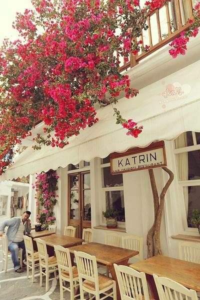 你想开什么样的店?一网打尽!史上最全开店手册