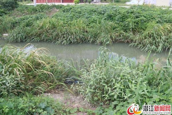 湖北潜江市这条县河 治理后水已清澈可见底