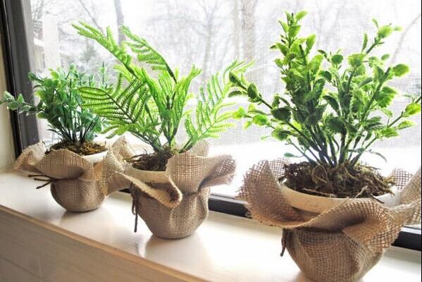 绿里奇迹 用创意盆栽打造花园居室