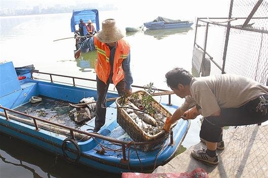 黄石磁湖高峰期日产垃圾3吨 新增10艘保洁船