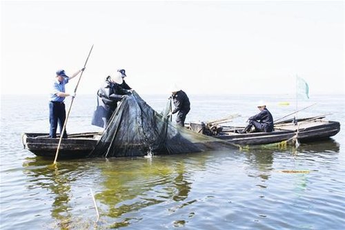 洪湖围剿渔害10天 地笼迷魂阵几近绝迹(图)