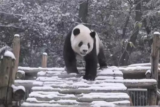 武汉冬天最美的事 至少做三件才对得住自己