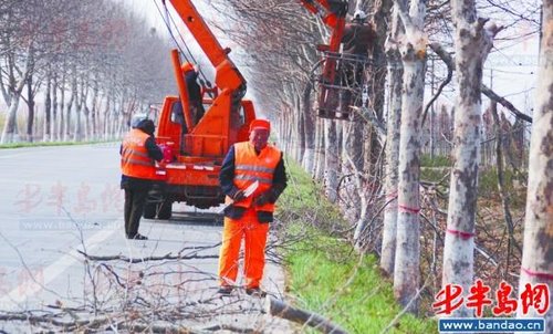 老厂长退休后当起了养路工