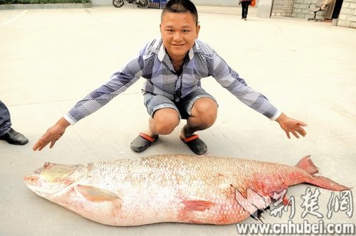 咸宁南川水库渔民打渔 捞到重达65.5公斤巨型