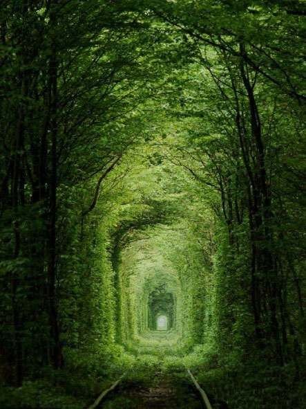 世界最美轨道 乌克兰爱的隧道引围观