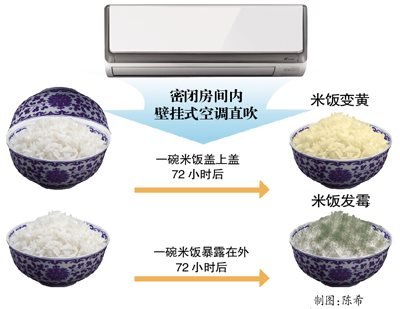 警惕空调污染:72小时 吹霉一碗饭