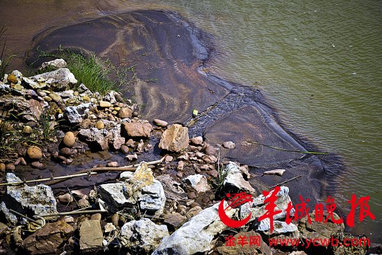 贺江水污染组:20日左右广东段水质全面达标