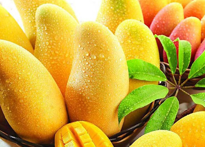 芒果的食疗作用与禁忌