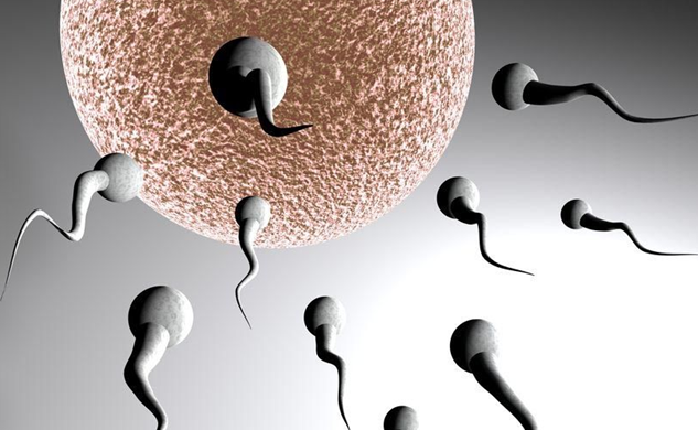 【幸孕计】帮精子一把--详解人工授精过程