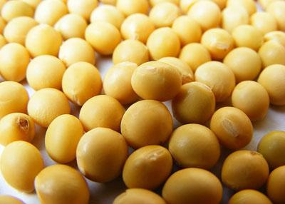 <em>洗</em>豆子为什么会出沫?打<em>豆浆</em>出泡沫的原因_健