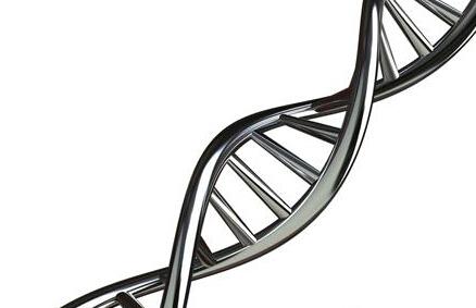 为宝宝的健康着想 请做孕前染色体检查!