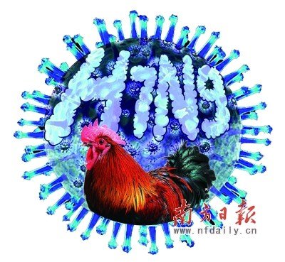 H7N9人传人可能性不大 根据医生建议用药