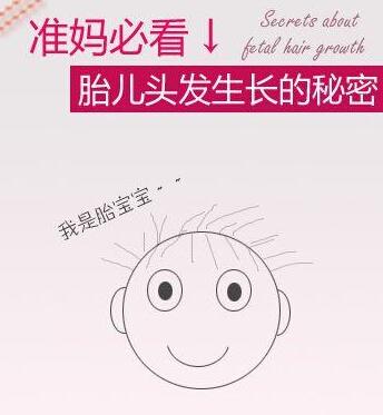 准妈必看!<em>胎宝宝</em>从<em>什么时候</em>开始<em>长头发</em>_健康_