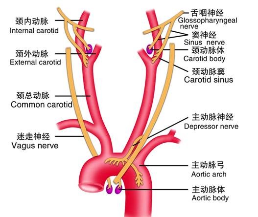 콵ˮͰ·˾ 治ǹ