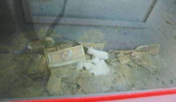 成都红会就募款发霉道歉 承认存管理不善_频道