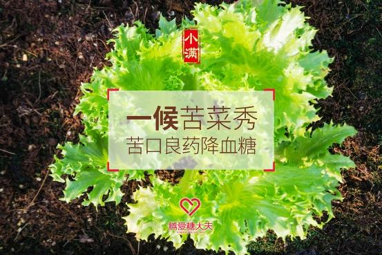 今日进入小满 糖友多吃苦菜多晒太阳