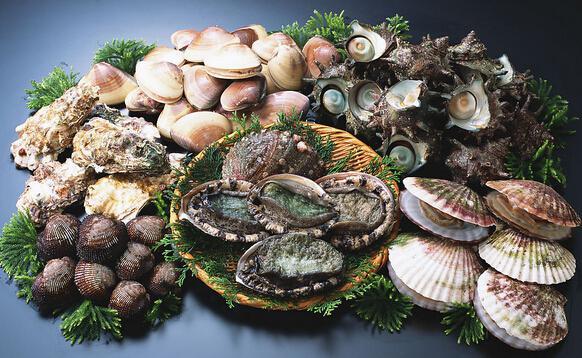 食药监总局:贝类产品食物中毒风险加大