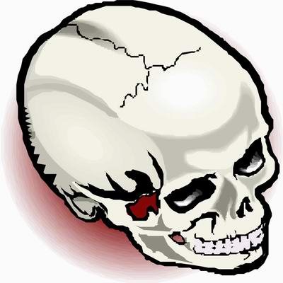 因携带狂犬病毒未被核查 美器官捐赠染病