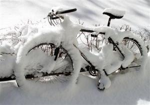 雪天“十防”御疾病 冬季养生手册