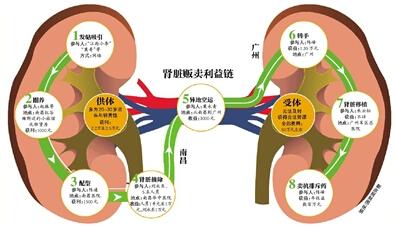 最大贩肾案告破宣判 三甲医院竟成移植地点