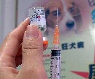 吉林3人接种狂犬疫苗后昏迷 疾控被指瞒报