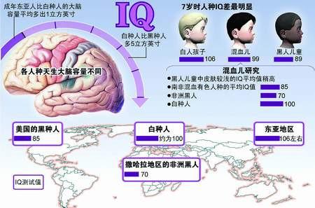 人种的脑容量与智商比较