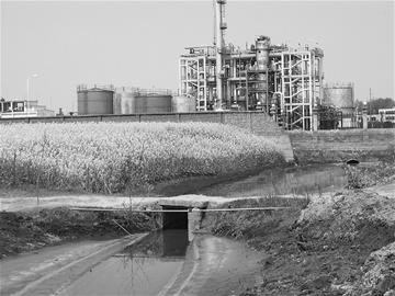 湖北潜江化工厂建在村中 60多人患癌死亡