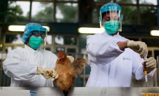浙江省人感染H7N9禽流感病例增加至11例