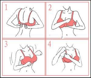 多大的码的<em>文胸</em>才是<em>合适</em>