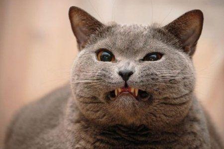 健康生活方式 消灭“坏脾气”