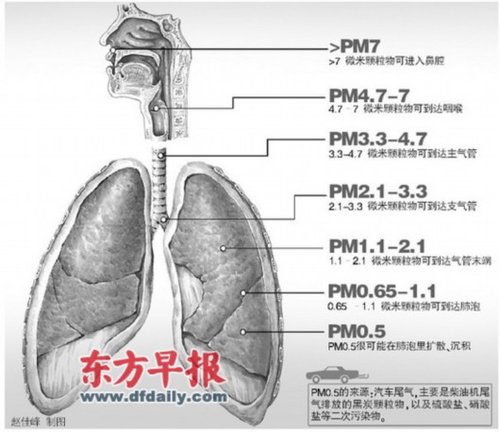 PM0.5PM2.5Σ ԼռŨ90%