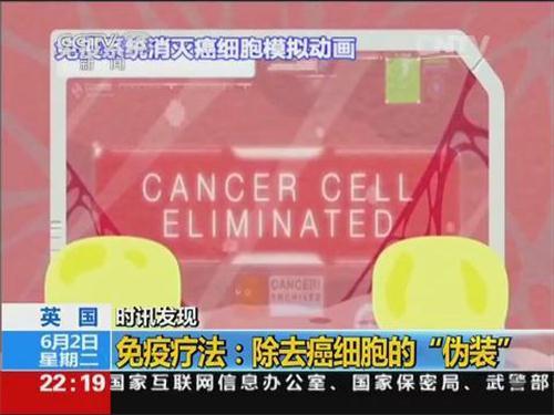 央视报道免疫治疗 有望成为抗癌新利器