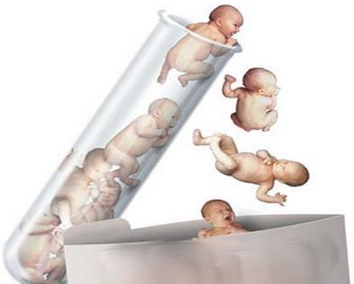 单个卵细胞全基因组测序 试管婴儿成功率提高