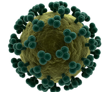 研究表明HIV病毒毒性减弱 或有助控制